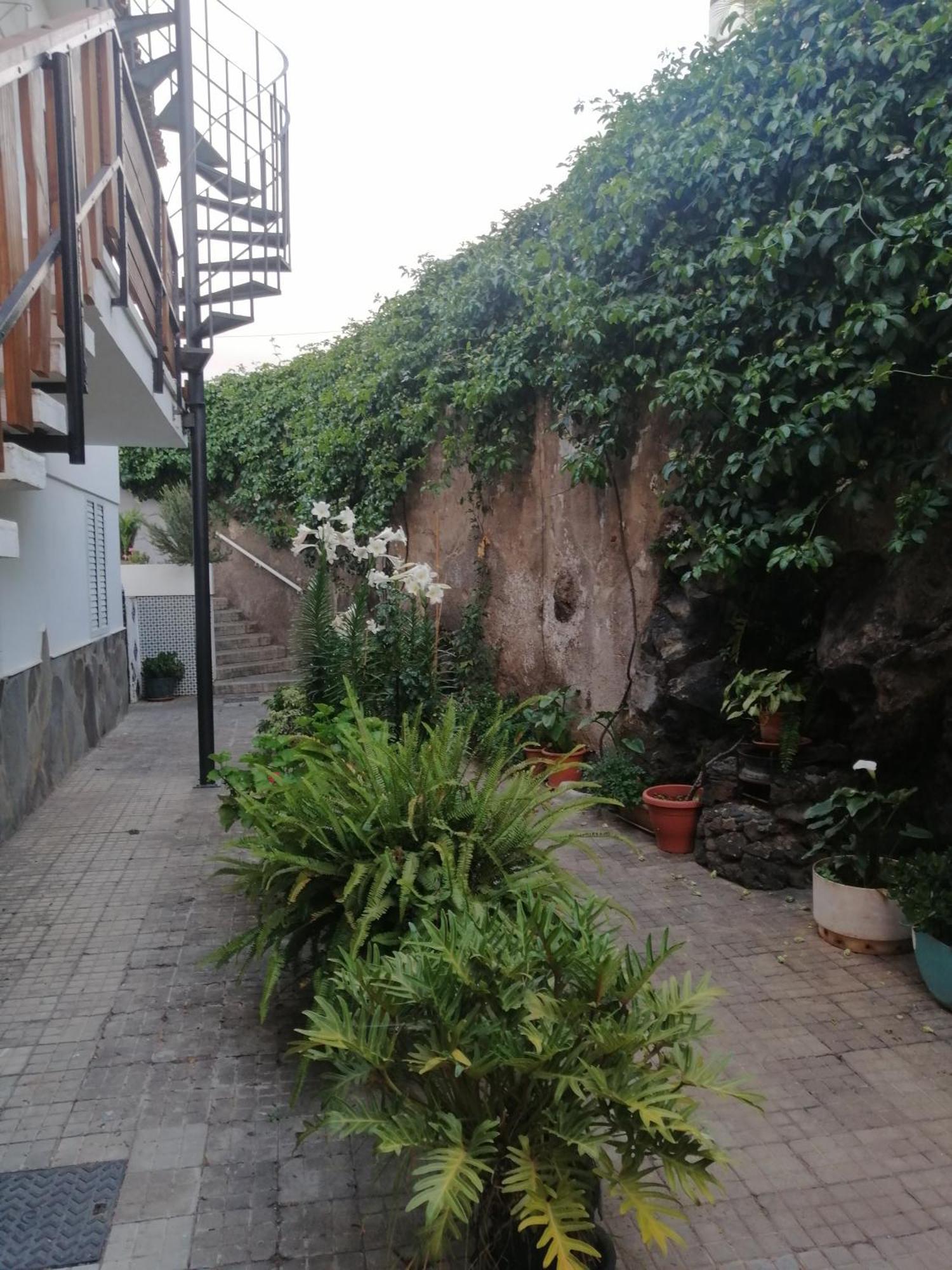 Puerto De La Cruz - Sun House - Holidays - Resort Εξωτερικό φωτογραφία